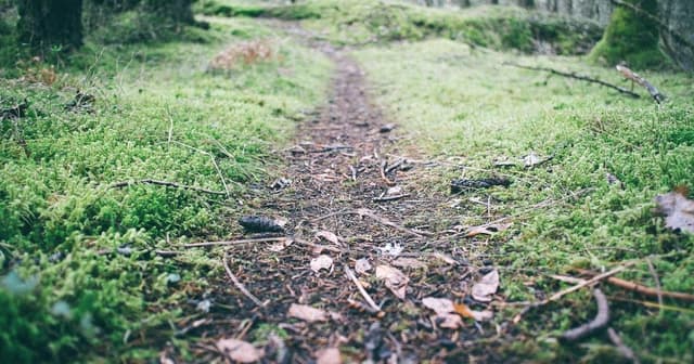 Implementing cart APIs with commercetools with sub-200ms TTFB targets