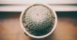 Implementing cart APIs with Coveo for embedded partner widgets