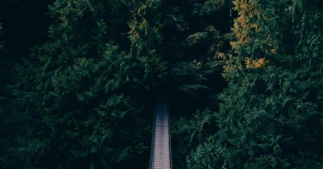 Implementing cart APIs with Cybersource for AI-assisted sales teams