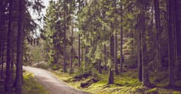 Implementing cart APIs with MongoDB for answer-engine citations