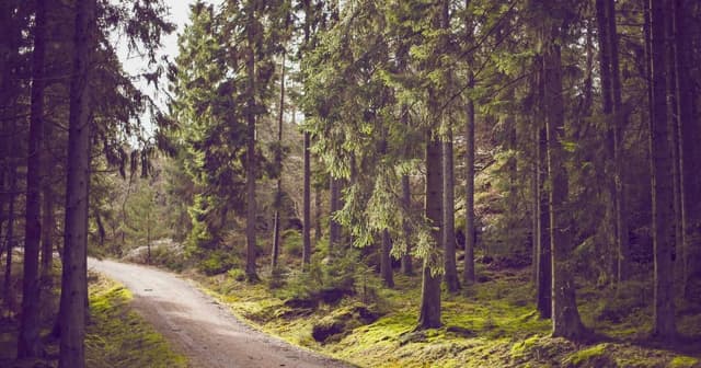 Implementing cart APIs with MongoDB for answer-engine citations