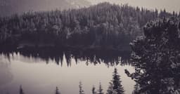 Implementing cart APIs with Ollama with SOC2-ready logging