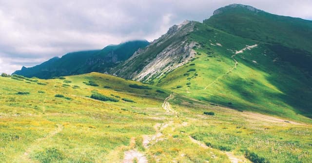 Implementing cart APIs with Plaid in brownfield replatforms