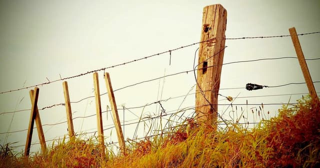 Implementing cart APIs with Shopify in brownfield replatforms