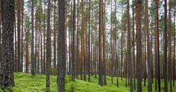 Implementing checkout flows with GraphQL for B2B distributors