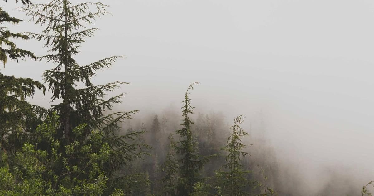 Implementing checkout flows with HubSpot with feature-flag rollbacks