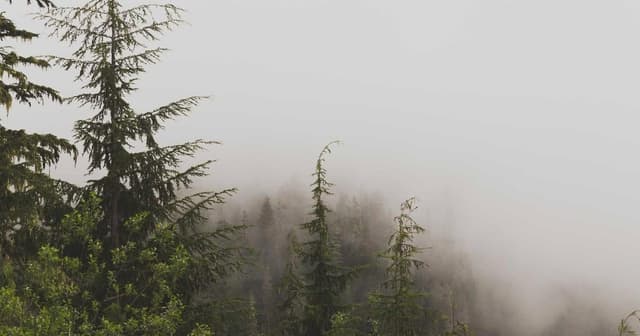 Implementing checkout flows with HubSpot with feature-flag rollbacks
