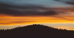 Implementing checkout flows with LangGraph under peak holiday traffic
