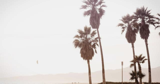 Implementing checkout flows with MongoDB for mobile-first buyers