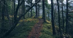 Implementing checkout flows with Next.js in brownfield replatforms