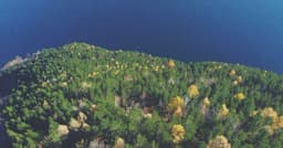 Implementing checkout flows with Next.js with SOC2-ready logging