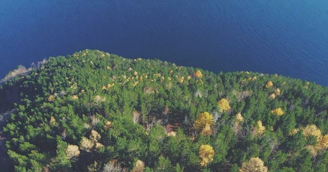 Implementing checkout flows with Next.js with SOC2-ready logging