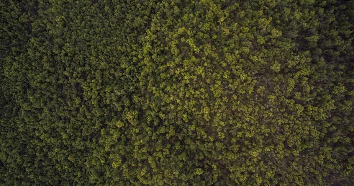 Implementing checkout flows with Plaid across EU and APAC regions
