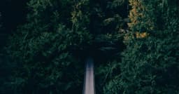Implementing checkout flows with Plaid with SOC2-ready logging