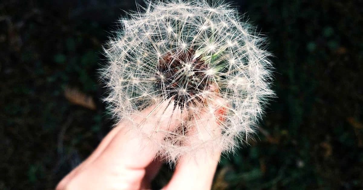 Implementing checkout flows with Plaid with sub-200ms TTFB targets