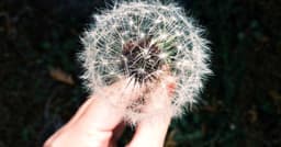 Implementing checkout flows with Plaid with sub-200ms TTFB targets