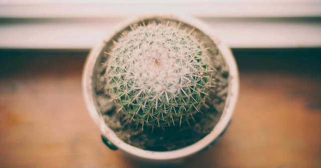 Implementing checkout flows with PostgreSQL with SOC2-ready logging