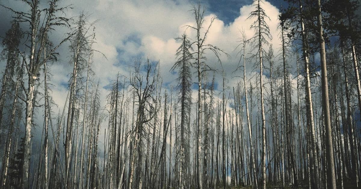 Implementing checkout flows with Shopify with SOC2-ready logging