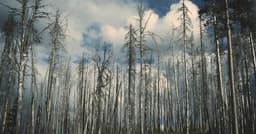 Implementing checkout flows with Shopify with SOC2-ready logging