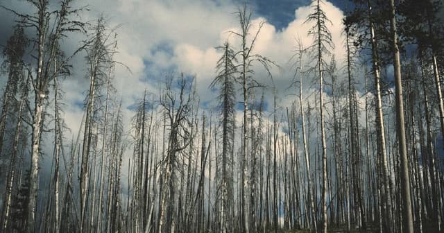 Implementing checkout flows with Shopify with SOC2-ready logging
