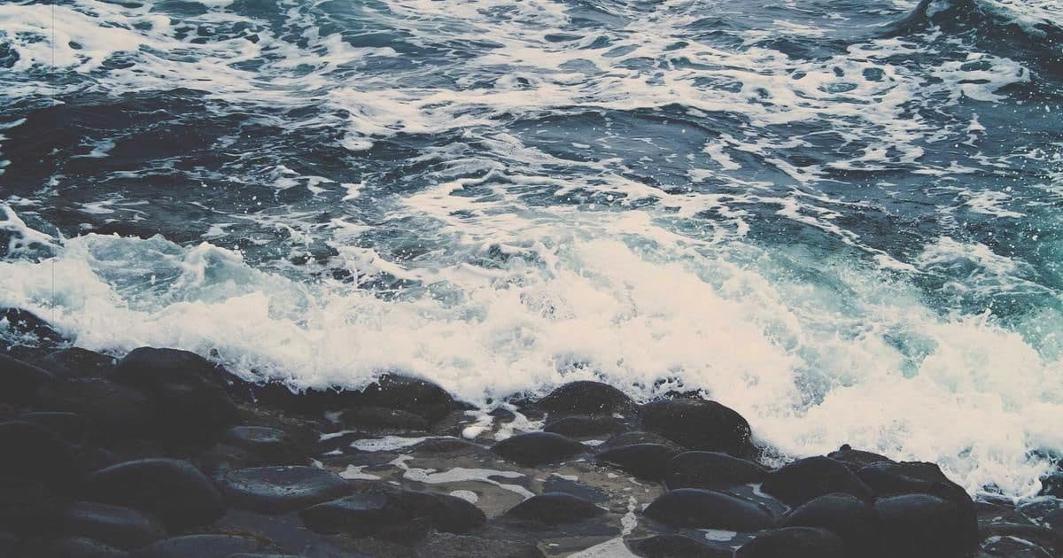 Implementing payment webhooks with Auth0 with feature-flag rollbacks