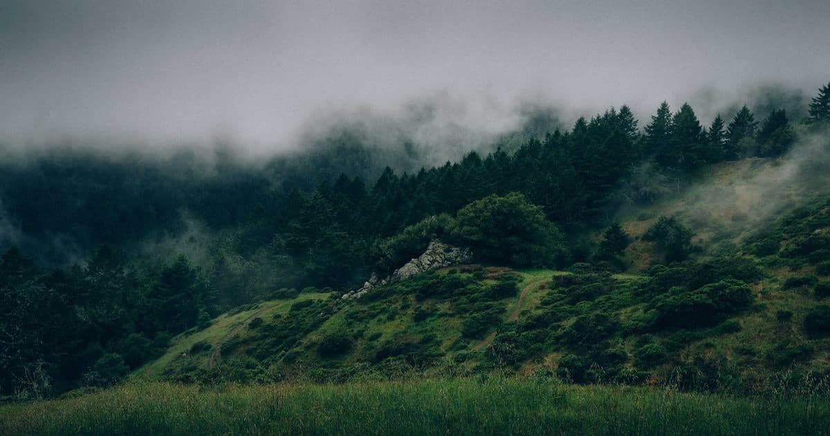 Implementing payment webhooks with Firebase for B2B distributors