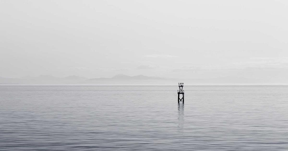 Implementing payment webhooks with Next.js for B2B distributors