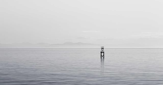 Implementing payment webhooks with Next.js for B2B distributors