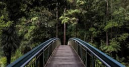 Implementing payment webhooks with Shopify for global storefronts