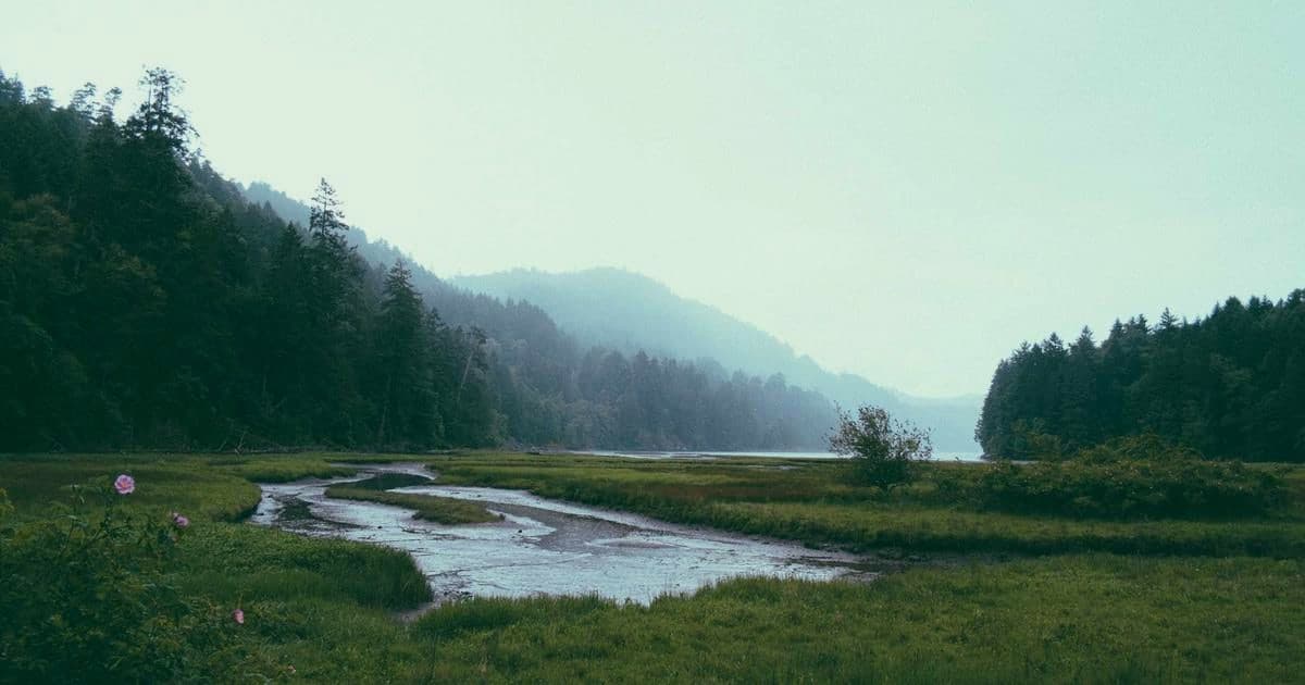 Implementing payment webhooks with Vercel for OTT subscribers