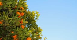 Turning production fixes into reusable OSS utilities